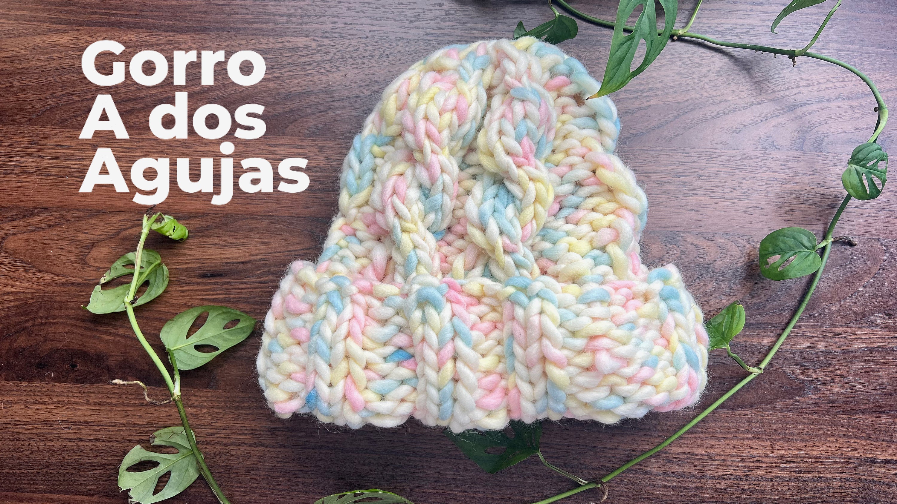 Gorro de a dos agujas en 1 HORA: Tutorial para principiantes